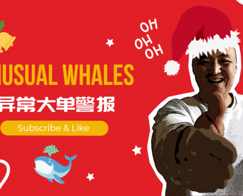 Unusual Whales的期权大单异动警报怎么用
