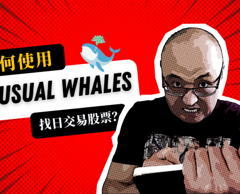 如何使用Unusual Whales找到日交易股票