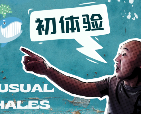 Unusual Whales使用心得