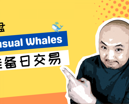 结合unusual whales做日交易计划