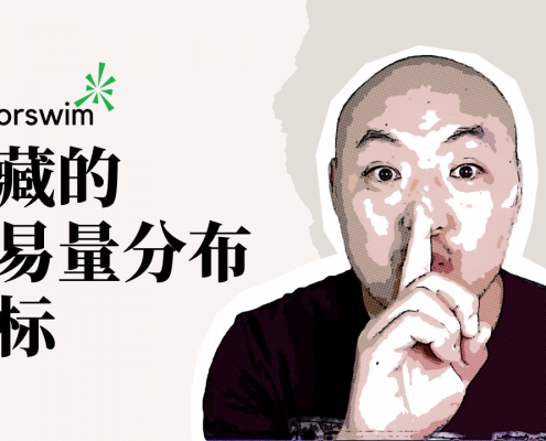 隐藏的thinkorswim筹码分布图